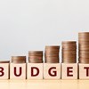 Budget Survey